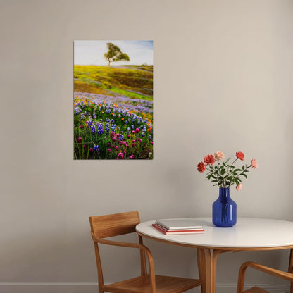 Meadow With Wildflowers Colorful Plants Poster Wall Art Print Home Wall Decor - xonomax