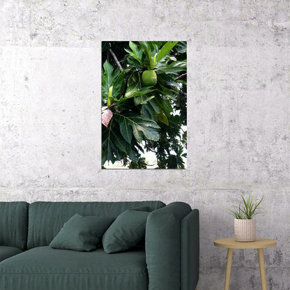 Leaf Of Mexican Breadfruit Tropical Fruit Poster Wall Art Print Home Wall Decor - xonomax