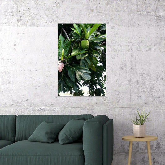 Leaf Of Mexican Breadfruit Tropical Fruit Poster Wall Art Print Home Wall Decor - xonomax
