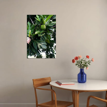 Leaf Of Mexican Breadfruit Tropical Fruit Poster Wall Art Print Home Wall Decor - xonomax