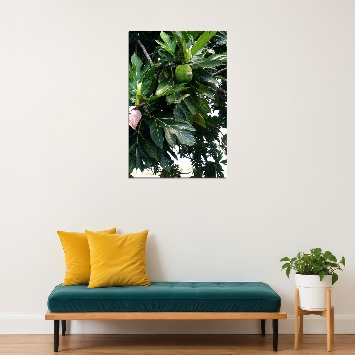 Leaf Of Mexican Breadfruit Tropical Fruit Poster Wall Art Print Home Wall Decor - xonomax