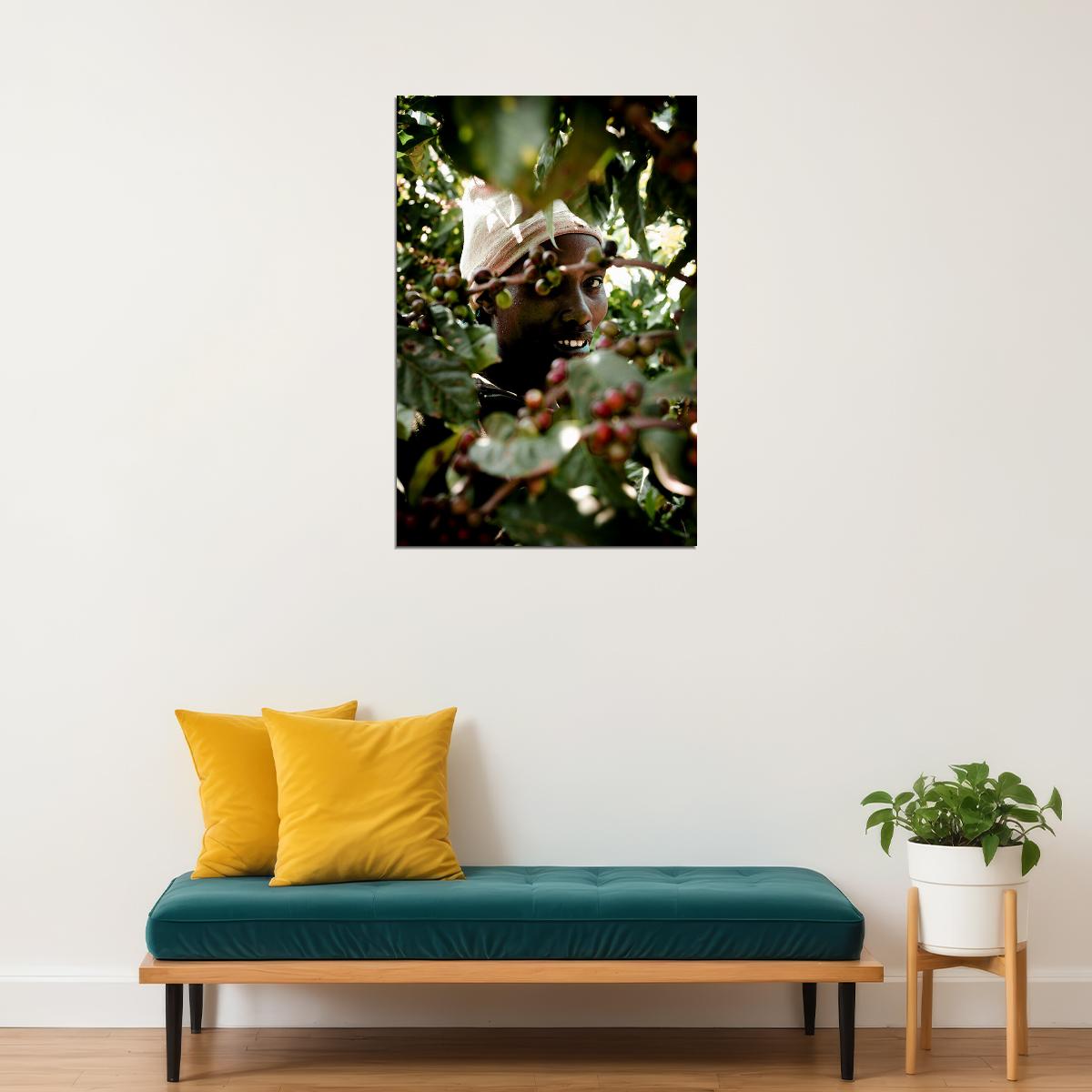 Puerto Rican Coffee Plantation Tropical Poster Wall Art Print Home Wall Decor - xonomax