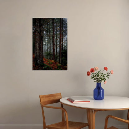 The Black Forest In Germany Nature Poster Wall Art Print Home Wall Decor - xonomax
