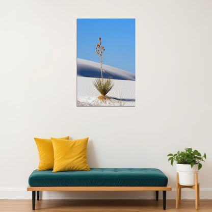 Yucca Plant In White Sands Arid Climate Poster Wall Art Print Home Wall Decor - xonomax