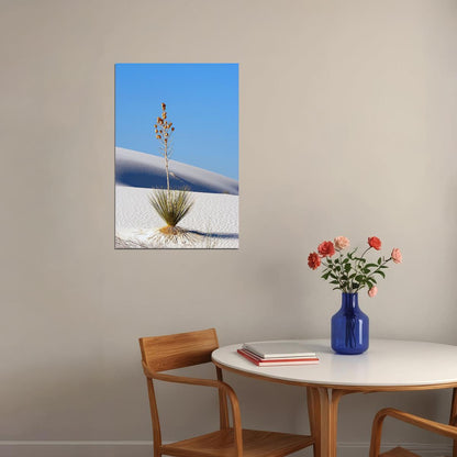 Yucca Plant In White Sands Arid Climate Poster Wall Art Print Home Wall Decor - xonomax