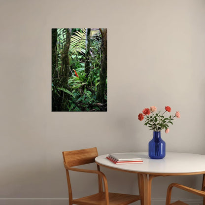 Rainforest Bromeliad And Palms Puerto Rico Poster Wall Art Print Home Wall Decor - xonomax