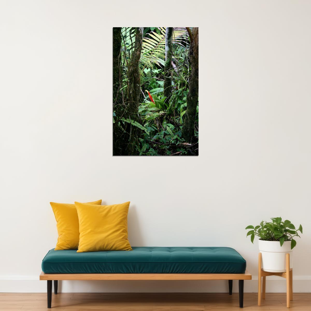 Rainforest Bromeliad And Palms Puerto Rico Poster Wall Art Print Home Wall Decor - xonomax