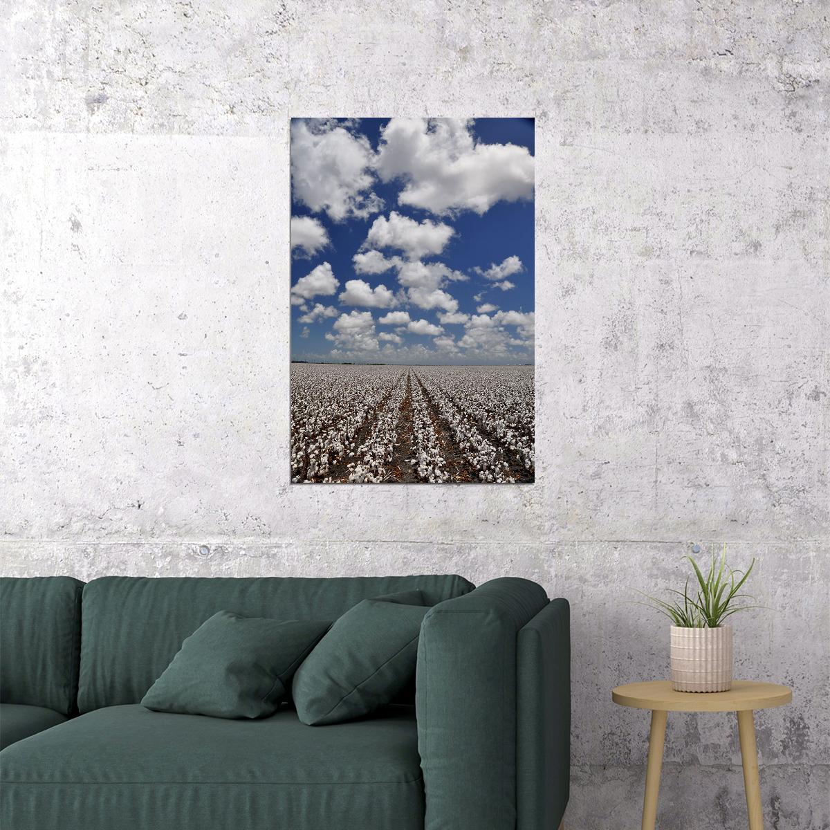 Field Of Cotton Tropical Plants Poster Wall Art Print Home Wall Decor - xonomax