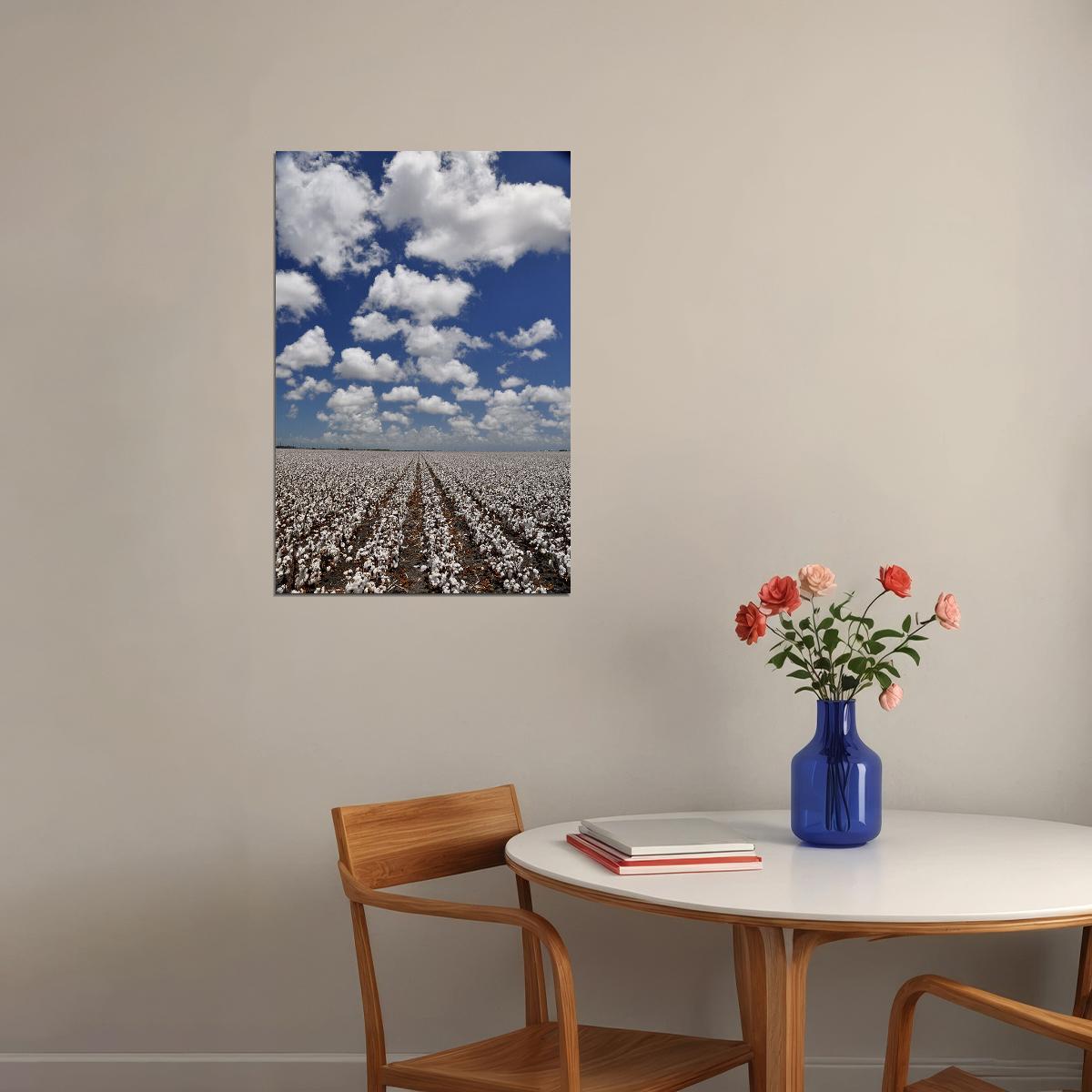 Field Of Cotton Tropical Plants Poster Wall Art Print Home Wall Decor - xonomax