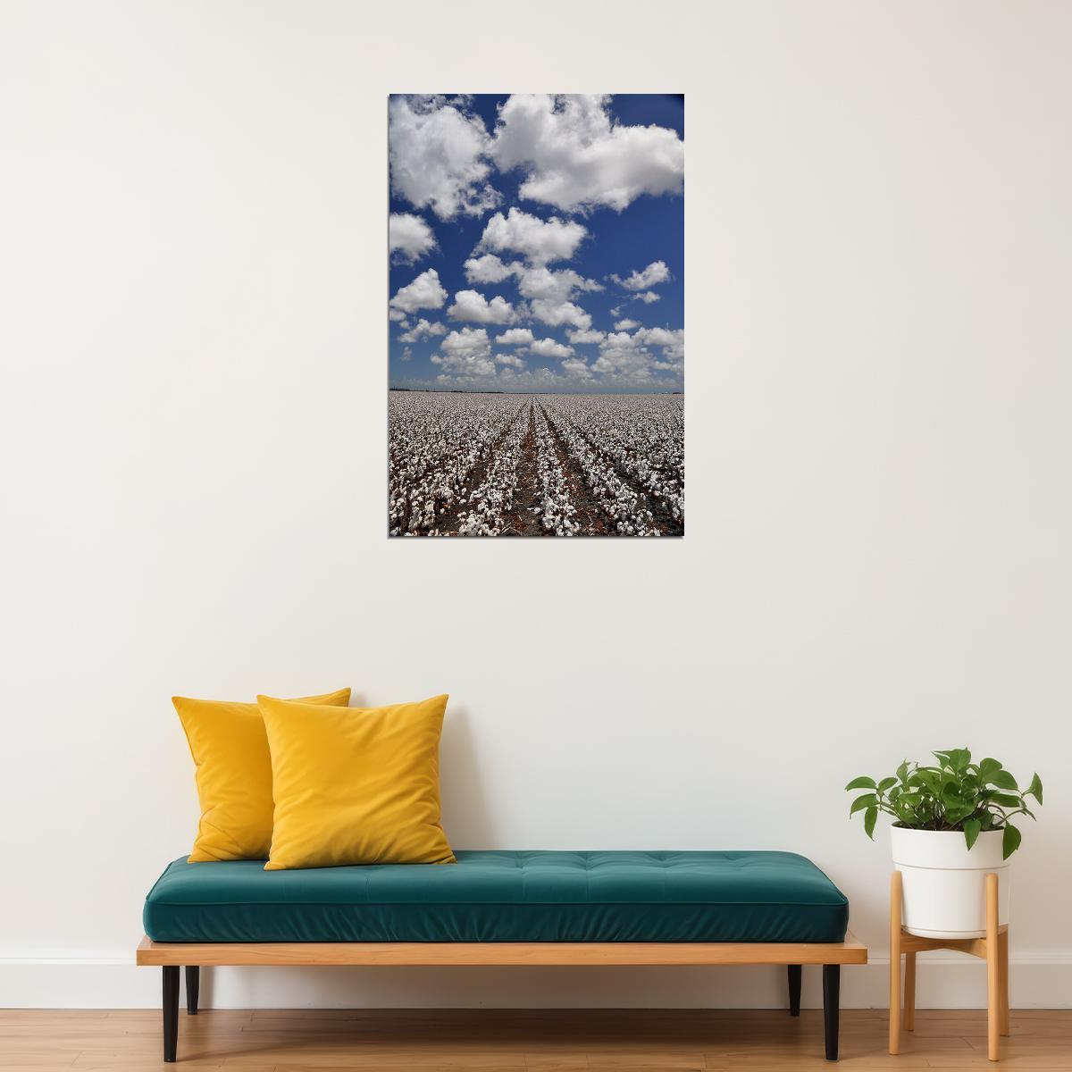 Field Of Cotton Tropical Plants Poster Wall Art Print Home Wall Decor - xonomax