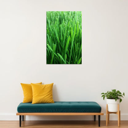 Growing Wheatgrass On Fresh Foliage Poster Wall Art Print Home Wall Decor - xonomax