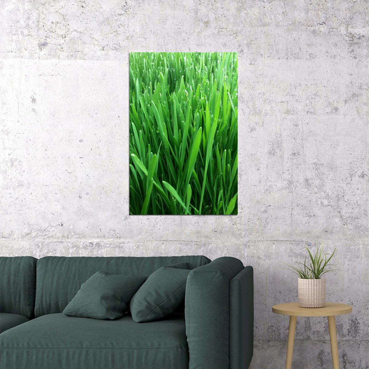 Growing Wheatgrass On Fresh Foliage Poster Wall Art Print Home Wall Decor - xonomax
