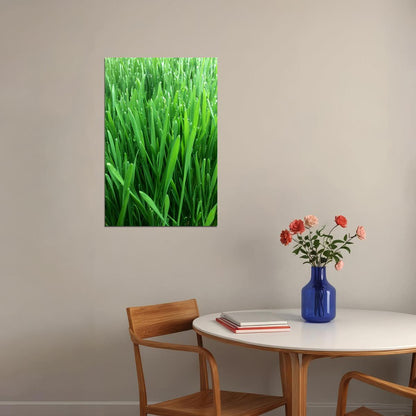 Growing Wheatgrass On Fresh Foliage Poster Wall Art Print Home Wall Decor - xonomax