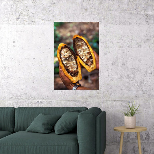 Beans Inside A Cacao Pod Tropical Plants Poster Wall Art Print Home Wall Decor - xonomax