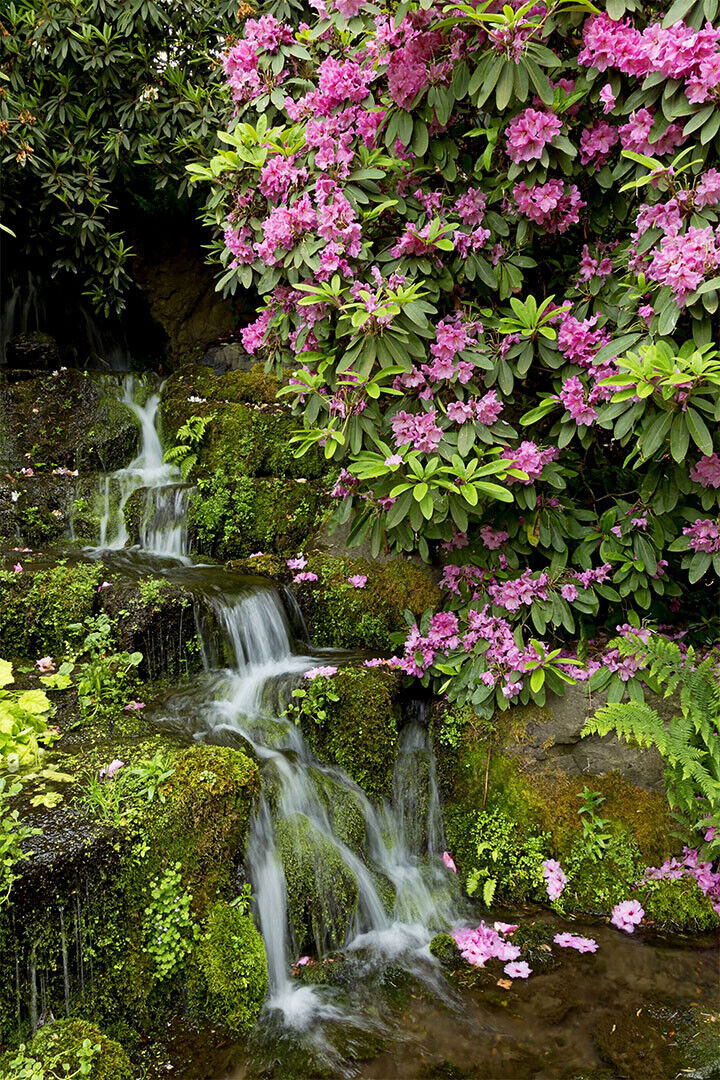 Waterfall In Crystal Springs Garden Poster Wall Art Print Home Wall Decor - xonomax