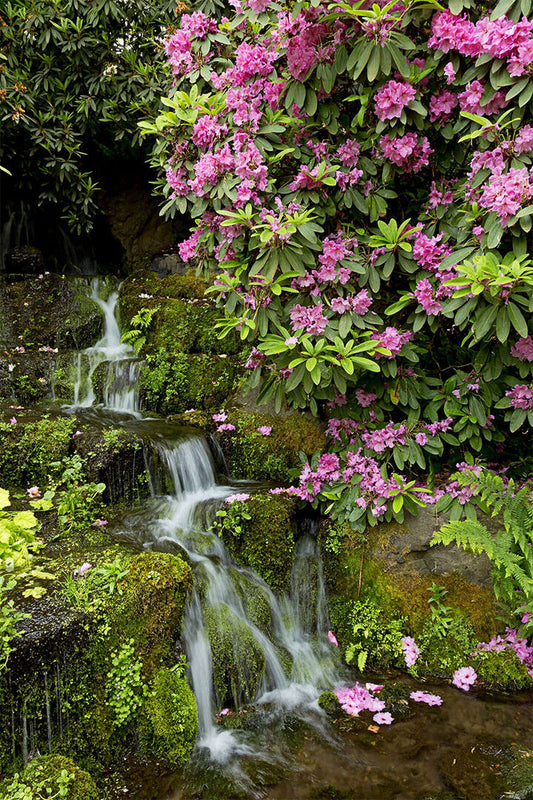 Waterfall In Crystal Springs Garden Poster Wall Art Print Home Wall Decor - xonomax