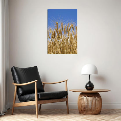 Wheat Ready For Harvesting Poster Wall Art Print Home Wall Decor - xonomax
