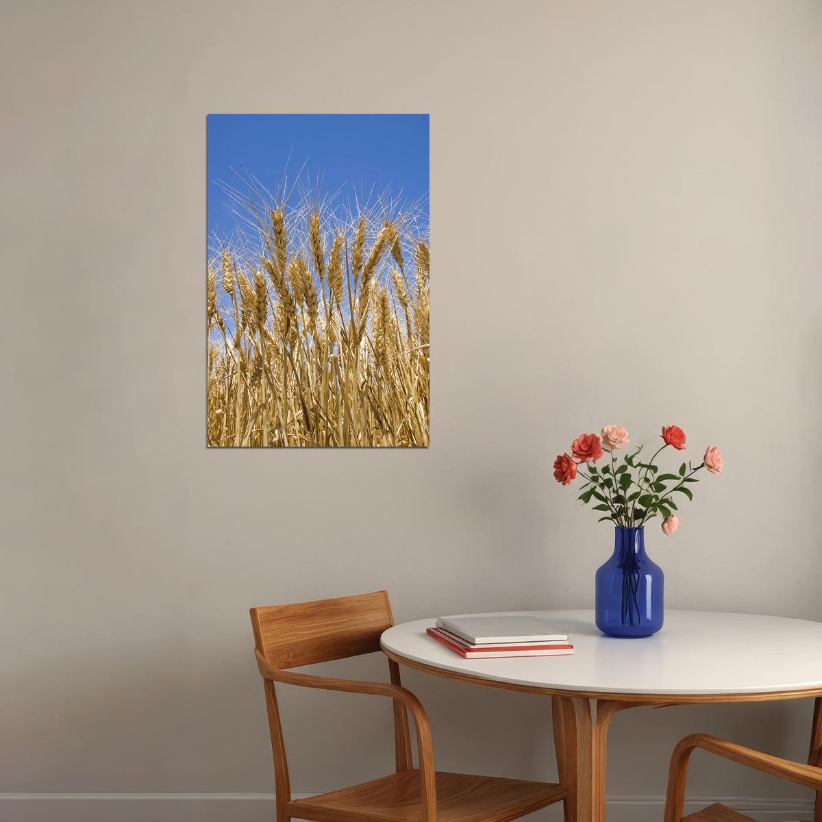 Wheat Ready For Harvesting Poster Wall Art Print Home Wall Decor - xonomax