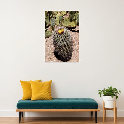 Saguaro And Prickly Pear Cacti Poster Wall Art Print Home Wall Decor - xonomax