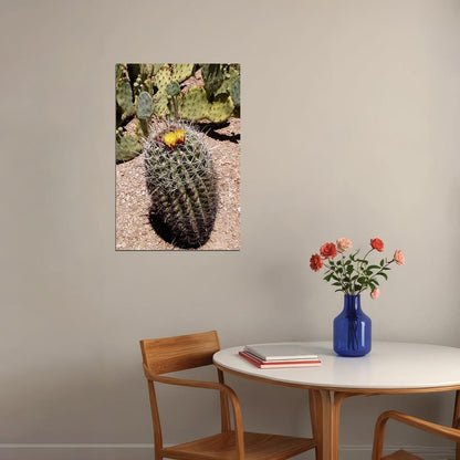 Saguaro And Prickly Pear Cacti Poster Wall Art Print Home Wall Decor - xonomax