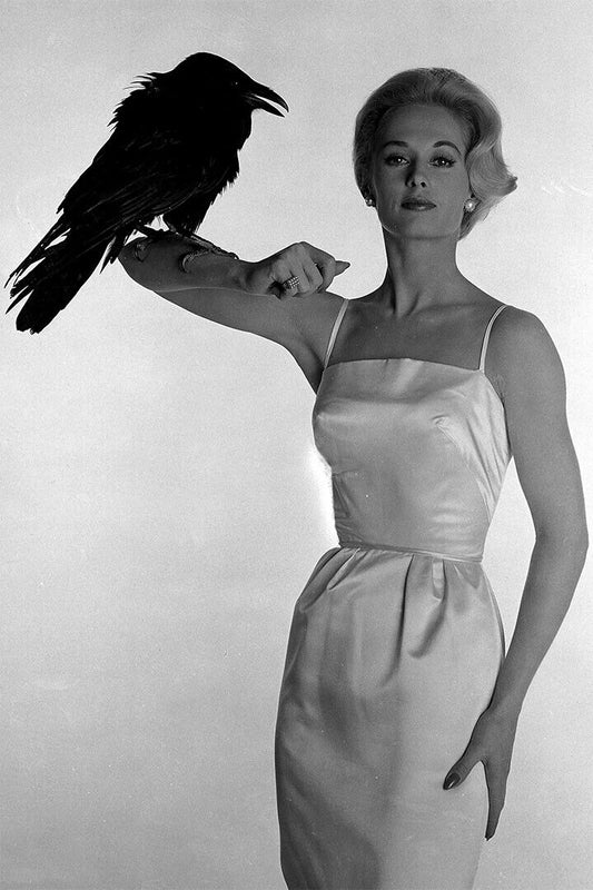 Tippi Hedren American Actor Old Model Poster Wall Art Print Home Wall Decor - xonomax