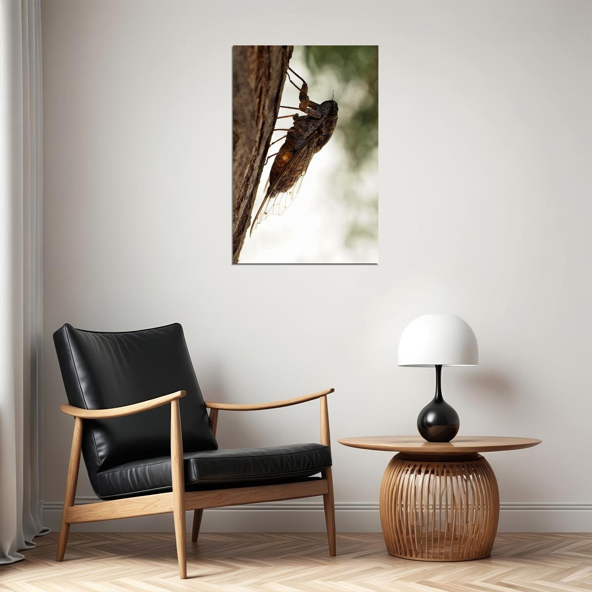 Cicada Loud Flying Vermin Animals Nature Poster Wall Art Print Home Wall Decor - xonomax