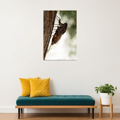 Cicada Loud Flying Vermin Animals Nature Poster Wall Art Print Home Wall Decor - xonomax