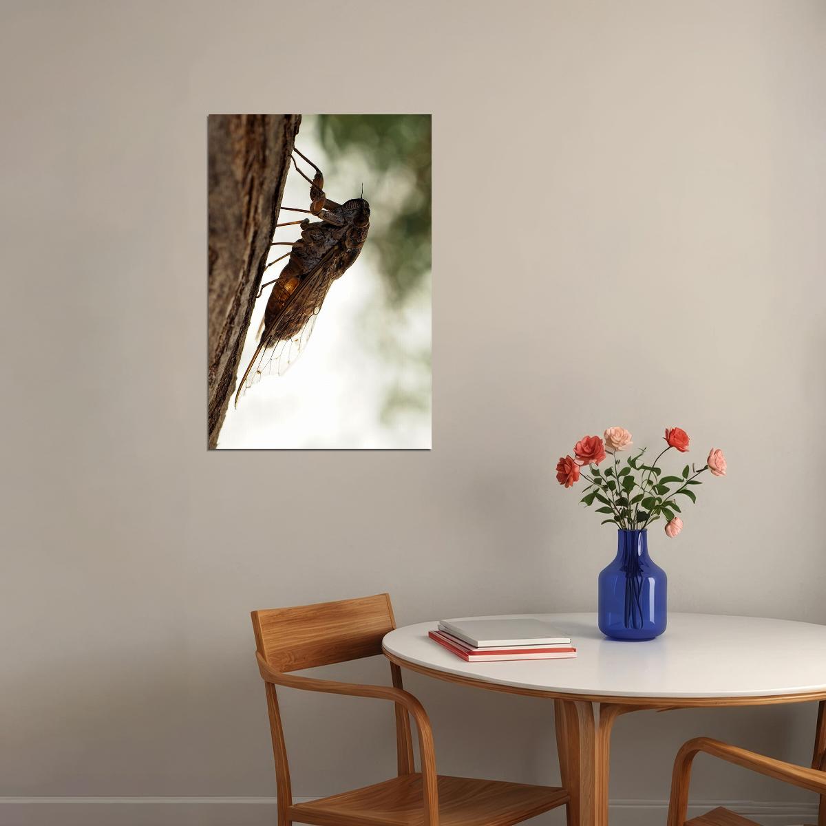 Cicada Loud Flying Vermin Animals Nature Poster Wall Art Print Home Wall Decor - xonomax