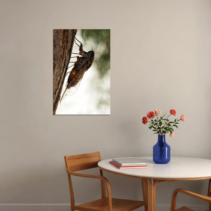 Cicada Loud Flying Vermin Animals Nature Poster Wall Art Print Home Wall Decor - xonomax