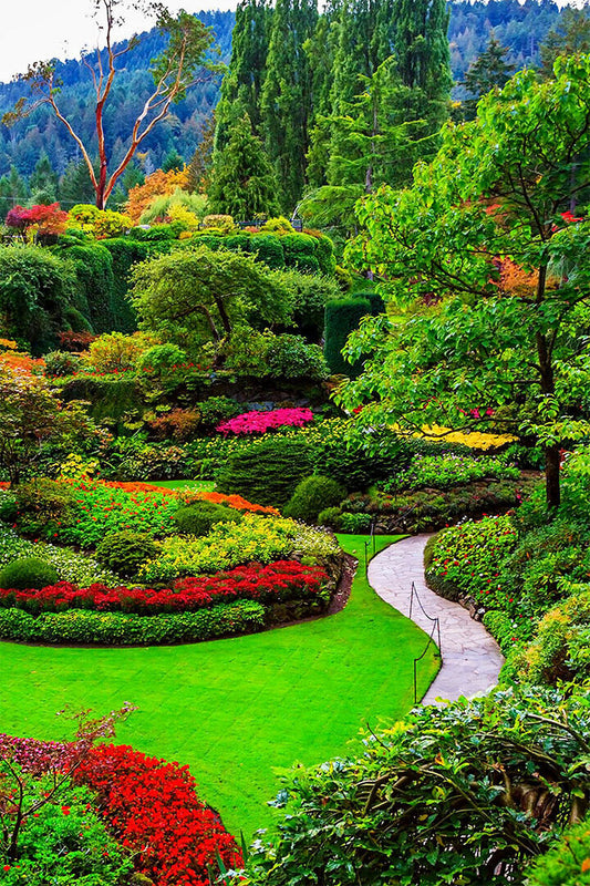 Sunken Gardens At Butchart Gardens Victoria Poster Wall Art Print Home Wall Decor - xonomax