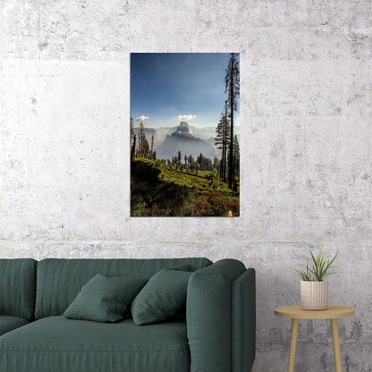 Pine Forest In Yosemite National Park Poster Wall Art Print Home Wall Decor - xonomax