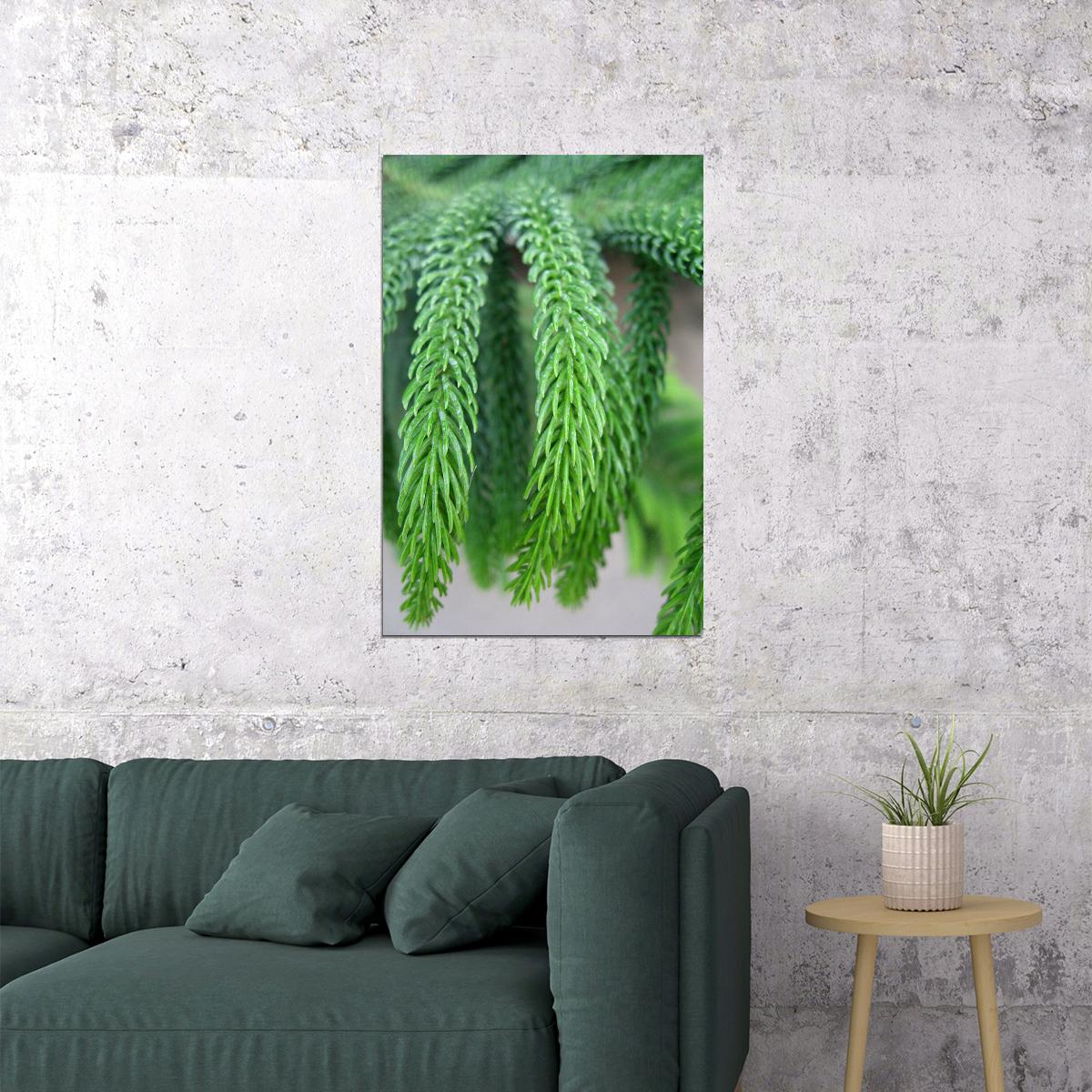 Healthy Longleaf Pines And Wiregrass Poster Wall Art Print Home Wall Decor - xonomax