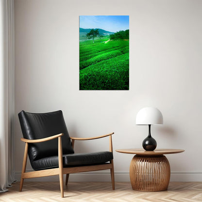 Green Tea Field And Mount Fuji Nature Poster Wall Art Print Home Wall Decor - xonomax