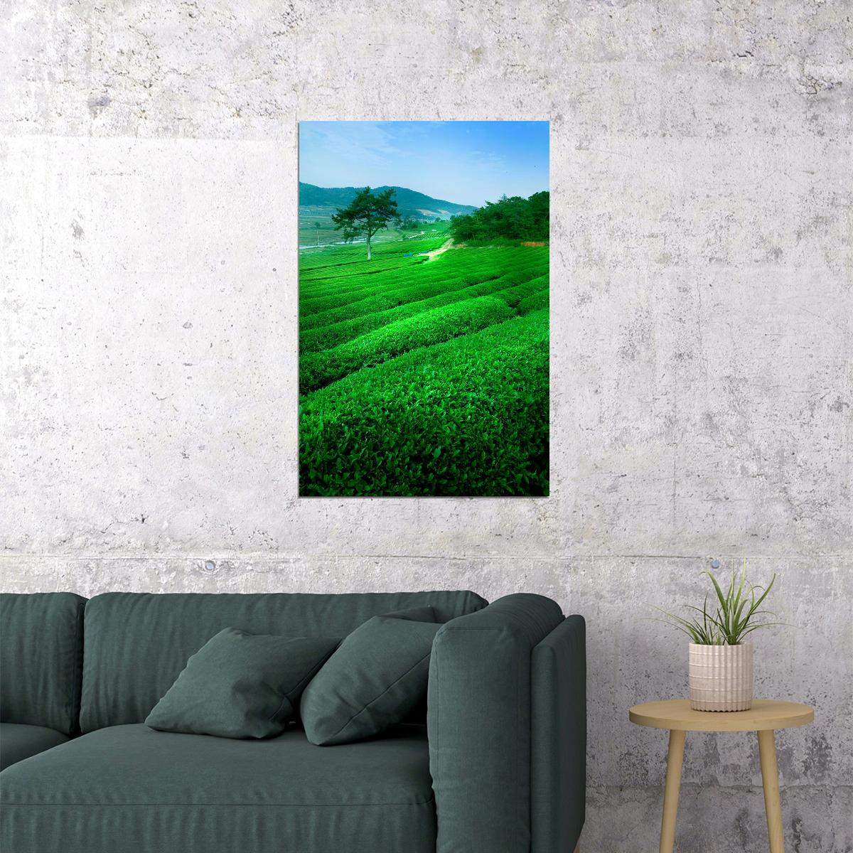 Green Tea Field And Mount Fuji Nature Poster Wall Art Print Home Wall Decor - xonomax