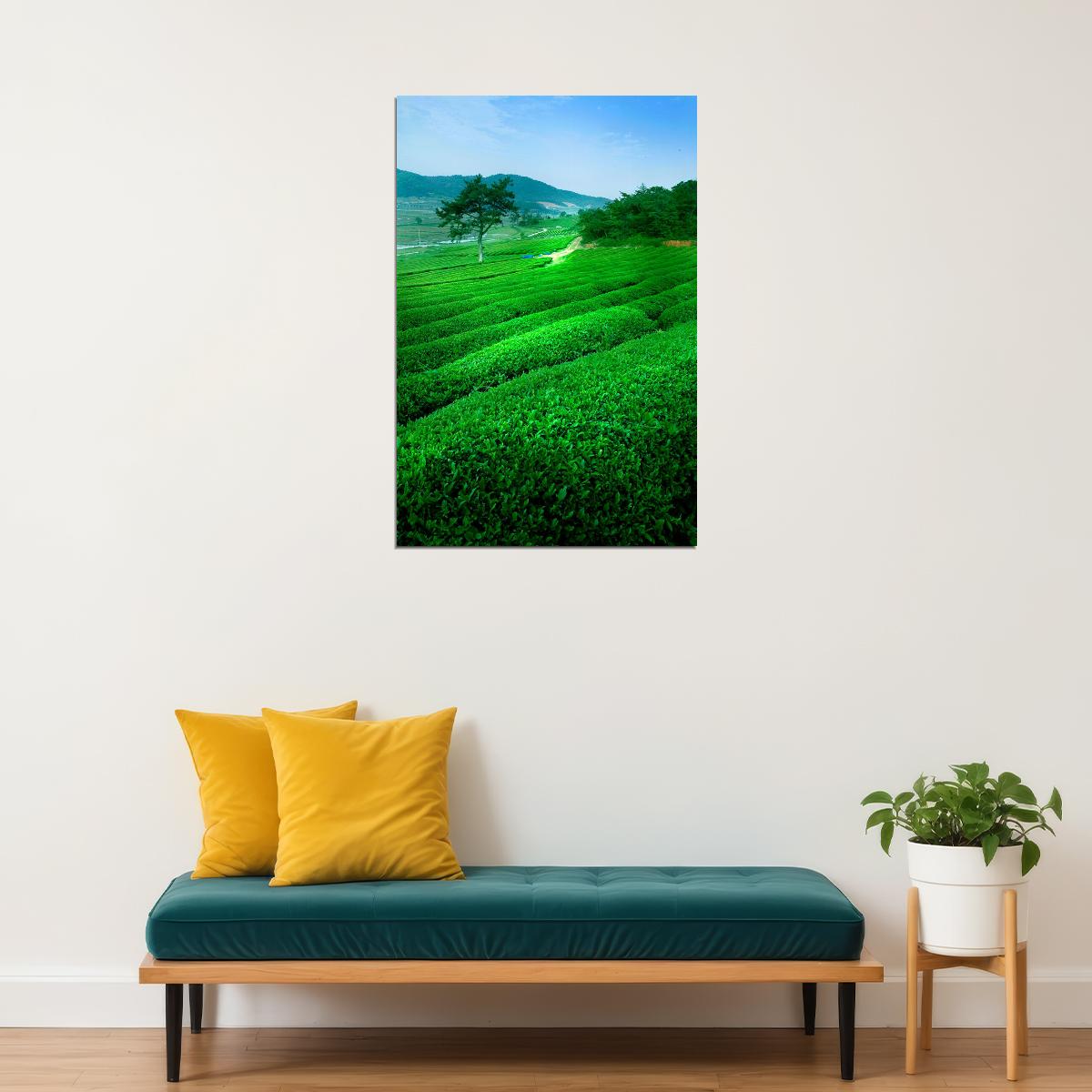 Green Tea Field And Mount Fuji Nature Poster Wall Art Print Home Wall Decor - xonomax
