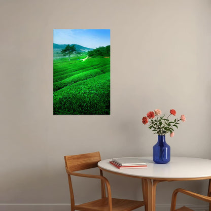 Green Tea Field And Mount Fuji Nature Poster Wall Art Print Home Wall Decor - xonomax