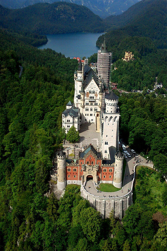 Schloss Neuschwanstein And Surrounding Forest Poster Wall Art Print Home Wall Decor - xonomax