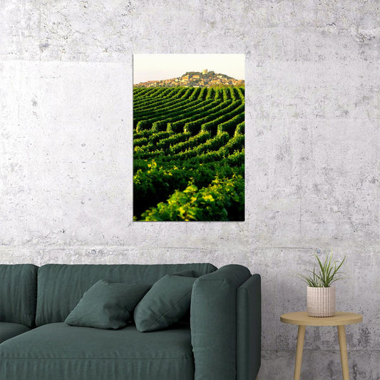 Vineyard In Napa Valley Landscape Nature Poster Wall Art Print Home Wall Decor - xonomax