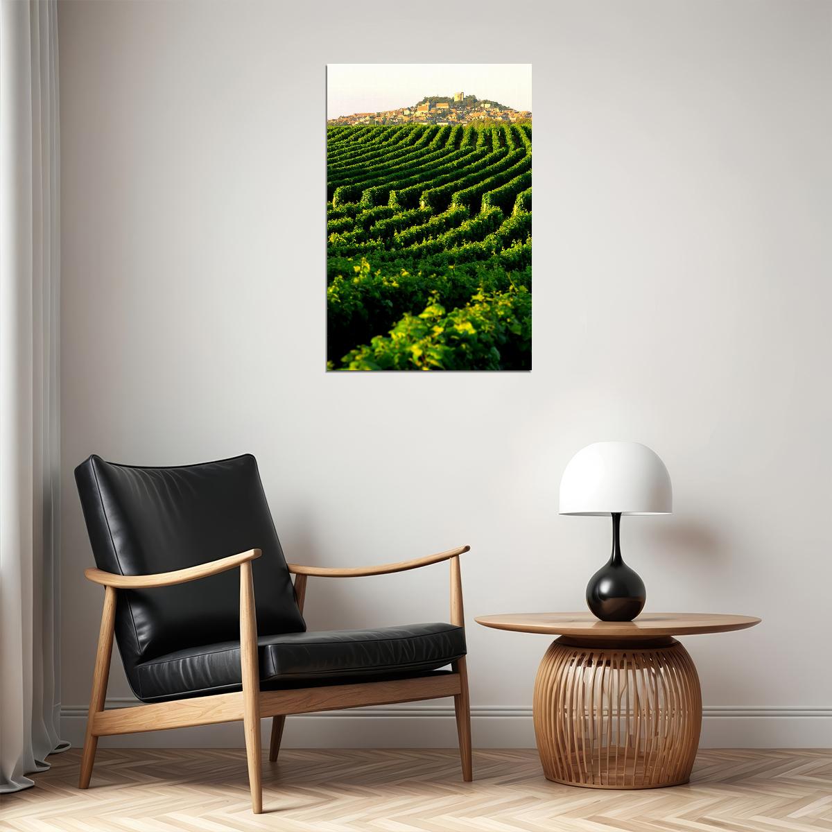 Vineyard In Napa Valley Landscape Nature Poster Wall Art Print Home Wall Decor - xonomax