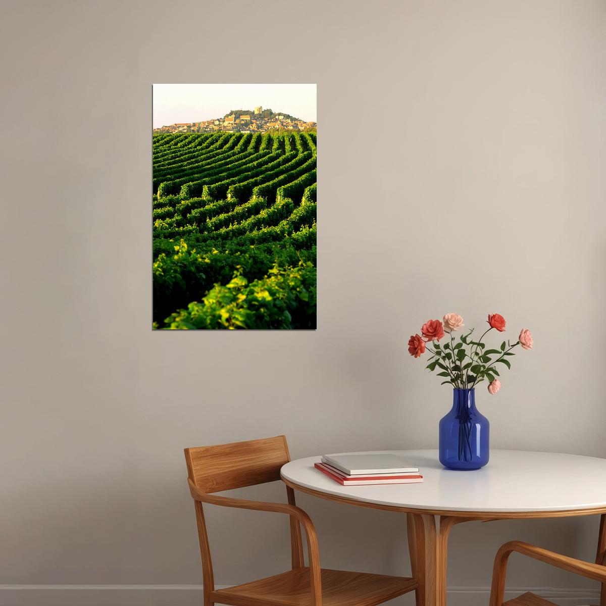 Vineyard In Napa Valley Landscape Nature Poster Wall Art Print Home Wall Decor - xonomax