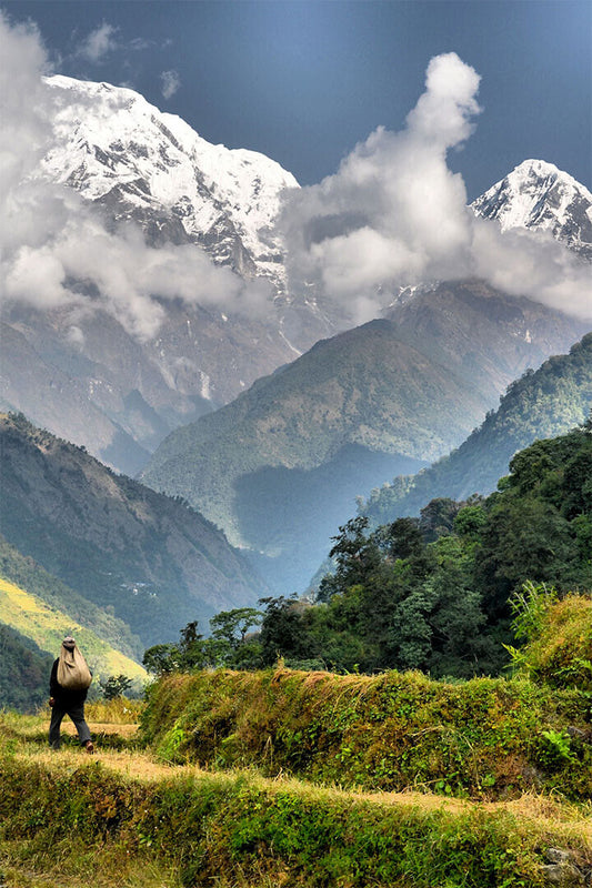 Summer Green Valley In The Himalayas Nature Poster Wall Art Print Home Wall Decor - xonomax