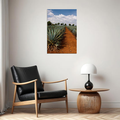 Tequila Agave Fields Landscape Nature Poster Wall Art Print Home Wall Decor - xonomax