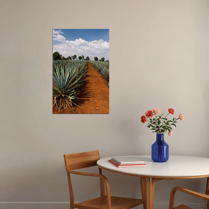 Tequila Agave Fields Landscape Nature Poster Wall Art Print Home Wall Decor - xonomax