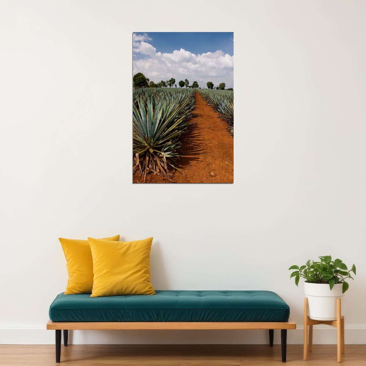 Tequila Agave Fields Landscape Nature Poster Wall Art Print Home Wall Decor - xonomax