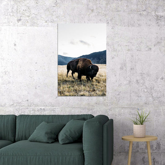 Bison Grazing On Green Hills Animals Poster Wall Art Print Home Wall Decor - xonomax