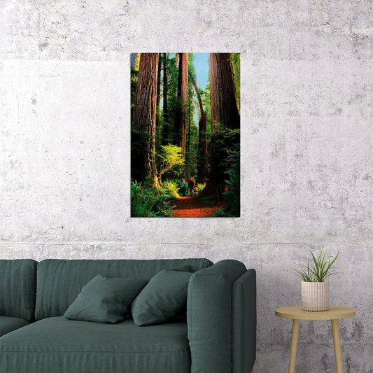 Detail Of Redwood Bark Forest Landscape Poster Wall Art Print Home Wall Decor - xonomax
