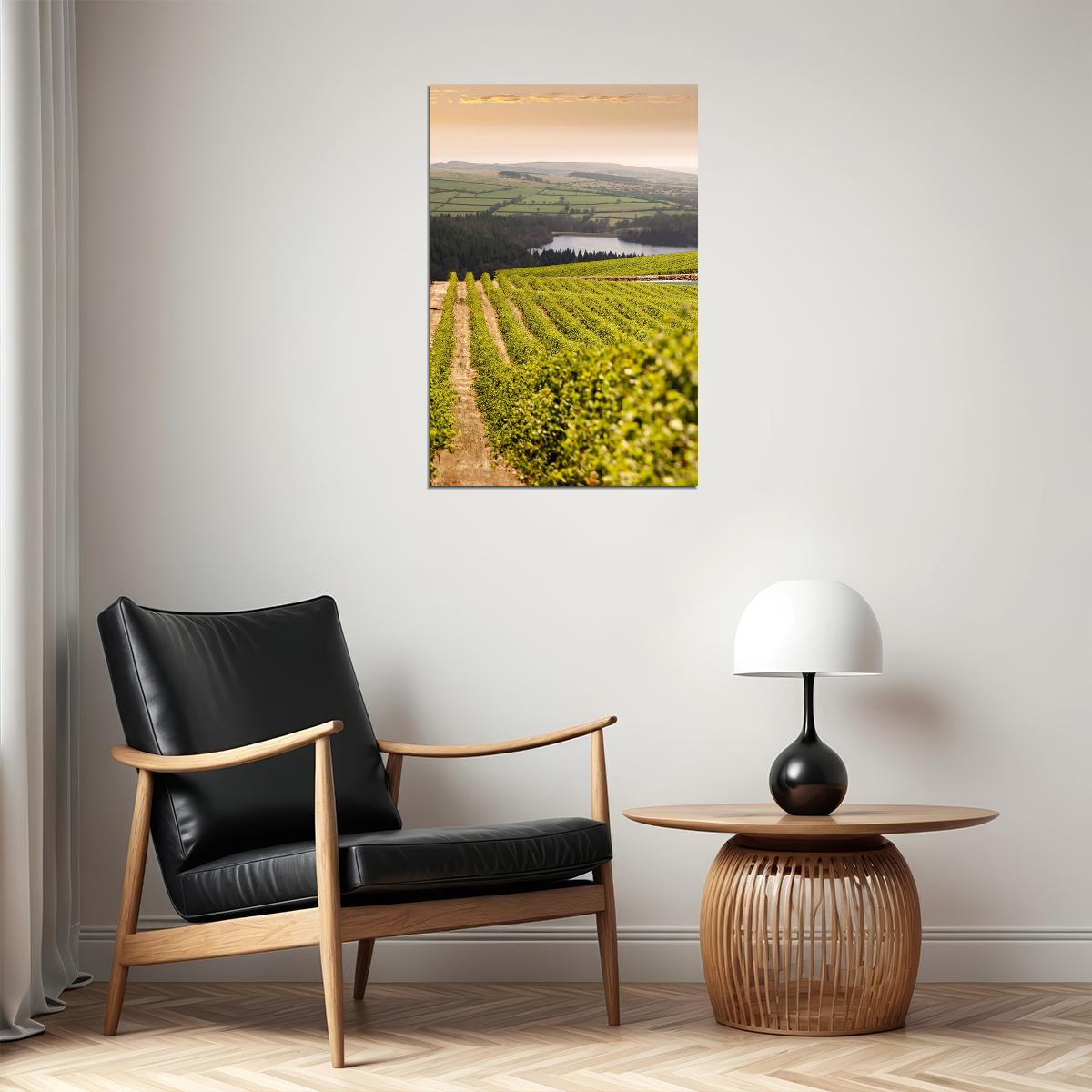 Napa Valley Vineyard Nature Garden Poster Wall Art Print Home Wall Decor - xonomax