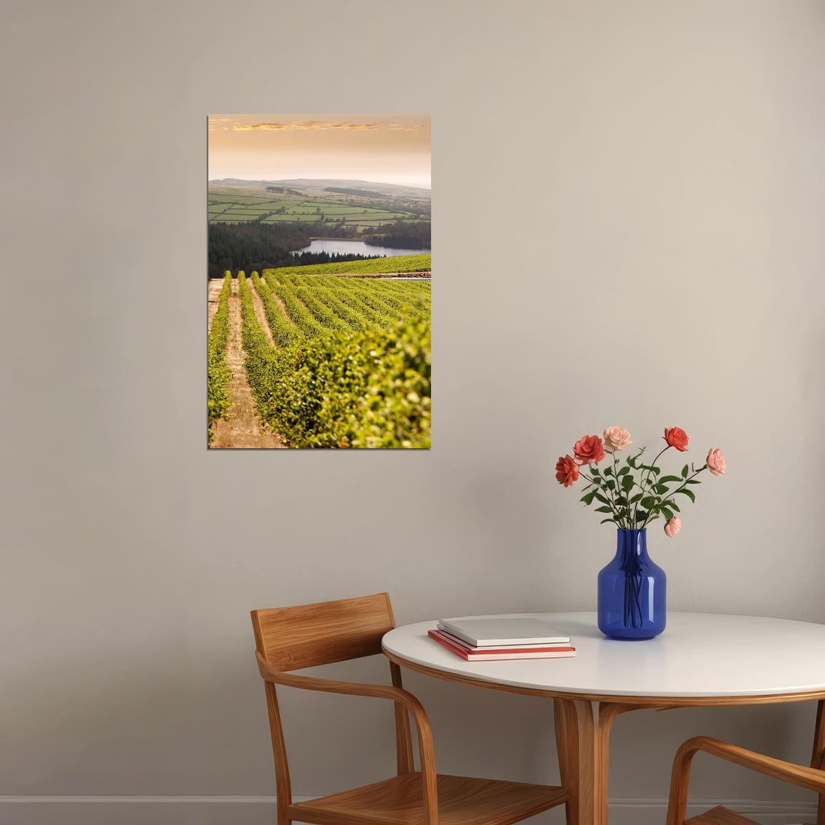 Napa Valley Vineyard Nature Garden Poster Wall Art Print Home Wall Decor - xonomax
