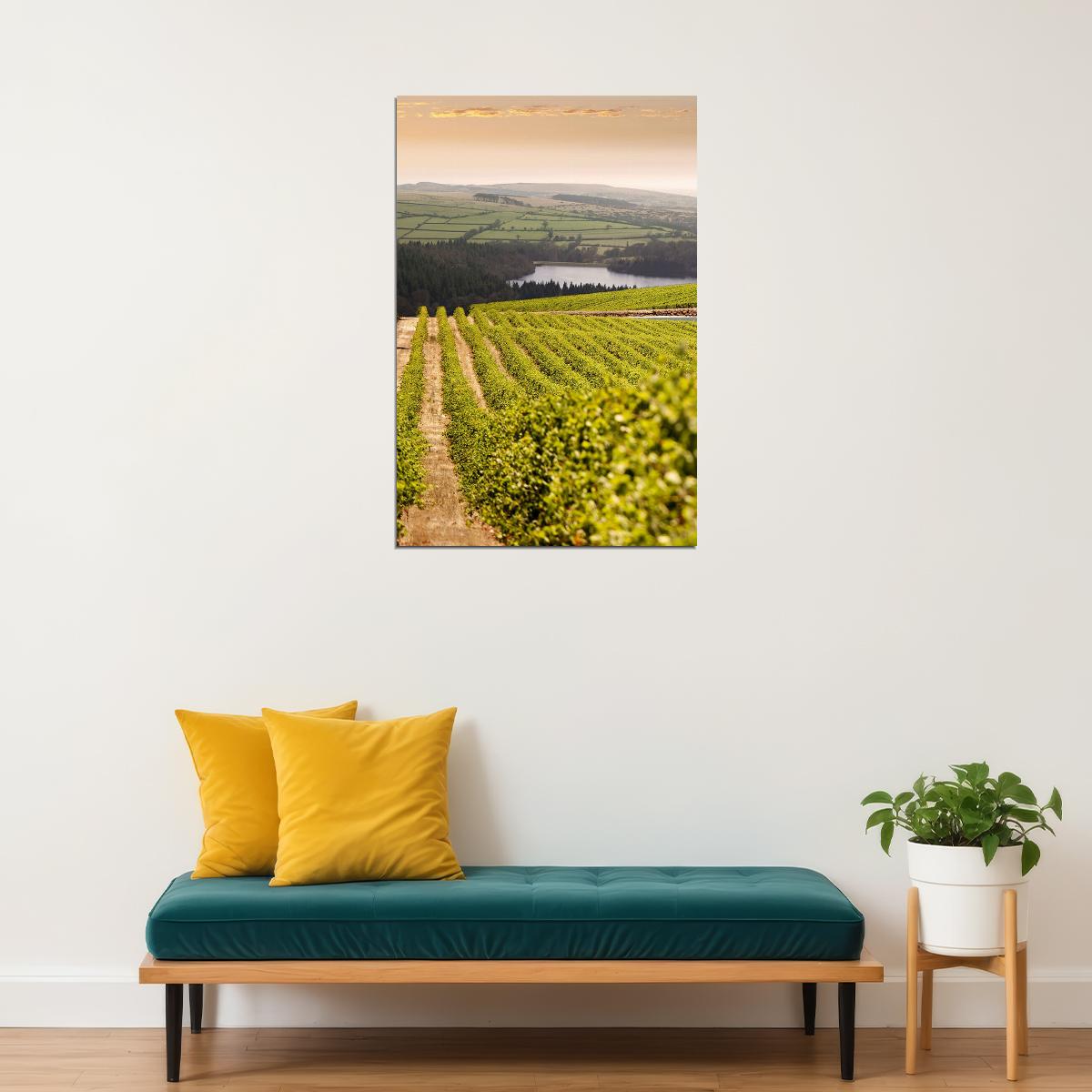 Napa Valley Vineyard Nature Garden Poster Wall Art Print Home Wall Decor - xonomax
