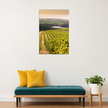 Napa Valley Vineyard Nature Garden Poster Wall Art Print Home Wall Decor - xonomax